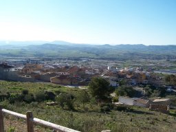 Castillo de Pliego 2009